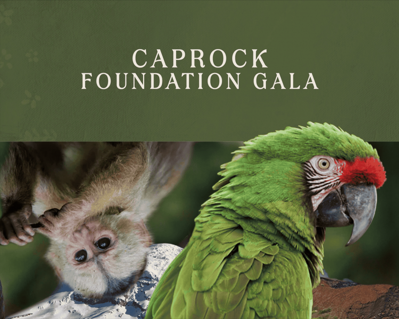 Caprock Gala