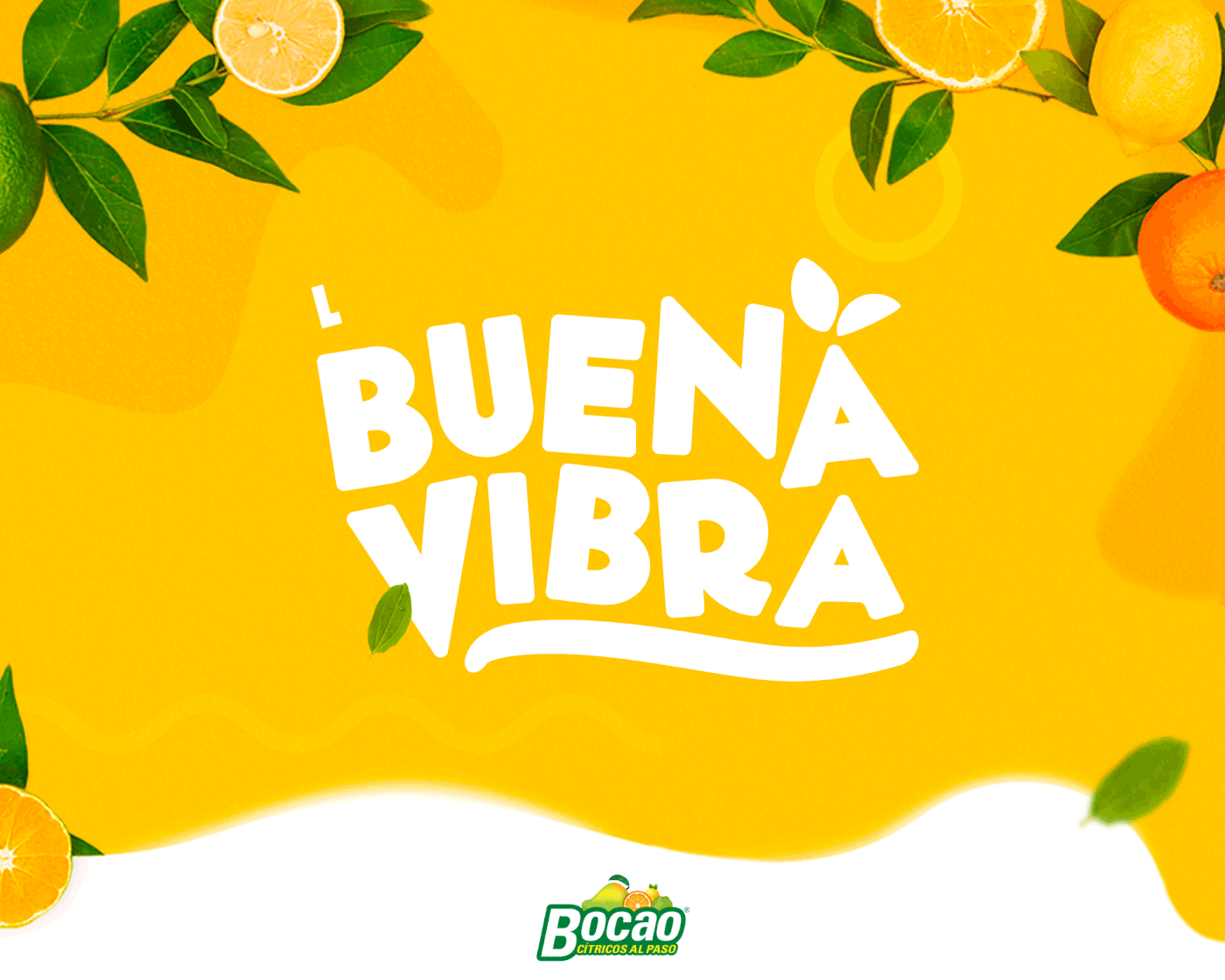 Thumbnail-Buena-vibra